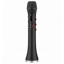 - SkyDisco Microphone L-699