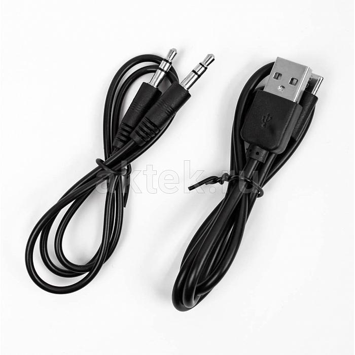 Портативная караоке-колонка с двумя микрофонами SODLK T200PLUS 11