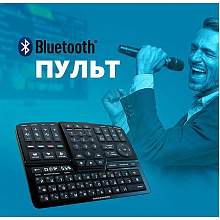 Караоке система для дома с микрофонами Studio Evolution EVOBOX black+MIC-WL28 2