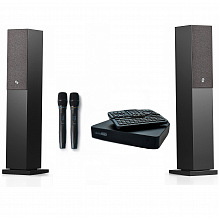 Профессиональная караоке система с акустикой и микрофонами Studio Evolution EVOBOX Premium+SE 200D+Audio Pro A36