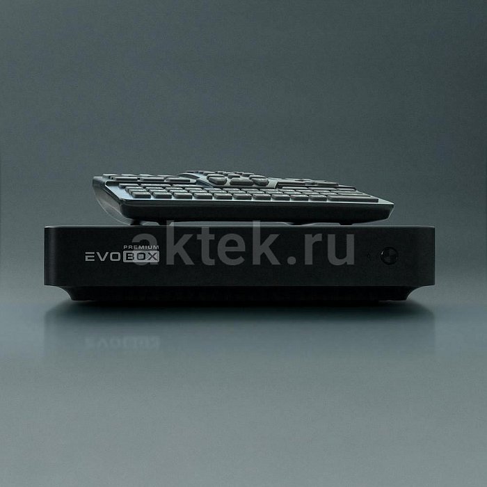 Профессиональная караоке система с акустикой и микрофонами Studio Evolution EVOBOX Premium+SE 200D+MACKIE SRM350v3 11