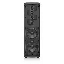 Профессиональная акустическая система Turbosound iP300 2