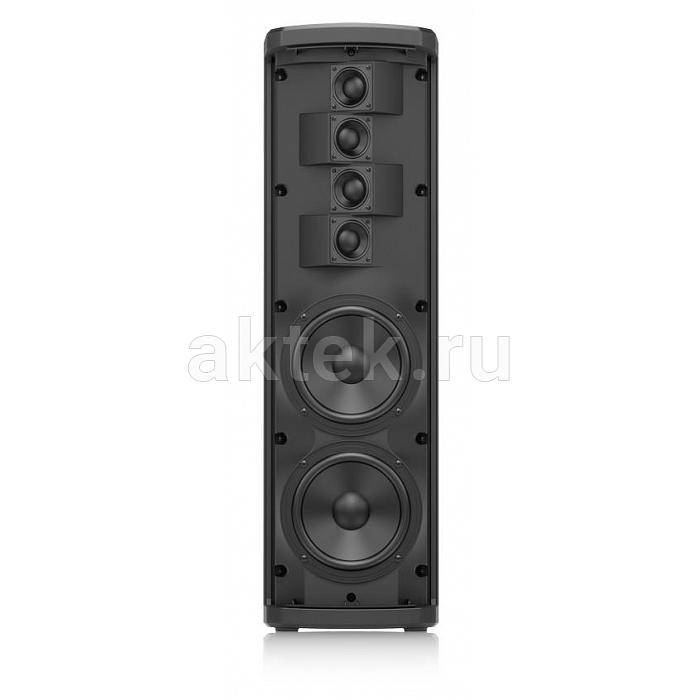 Профессиональная акустическая система Turbosound iP300 2
