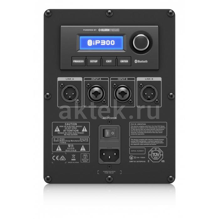Профессиональная акустическая система Turbosound iP300 4