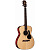 Электроакустическая гитара Folk ALVAREZ RF8C 