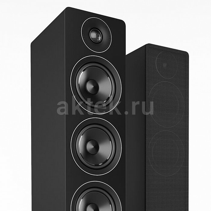 Напольная акустическая система Acoustic Energy 120 Black 2