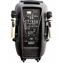 Акустическая система на колесах Aura A215MP3-Battery 2