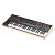 Синтезатор Sequential Trigon-6 Module Keyboard