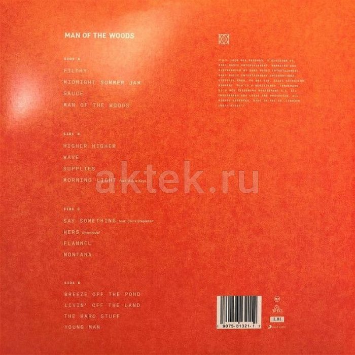 Виниловая пластинка JUSTIN TIMBERLAKE - MAN OF THE WOODS 180 GRAM BLACK VINYL 12" 2
