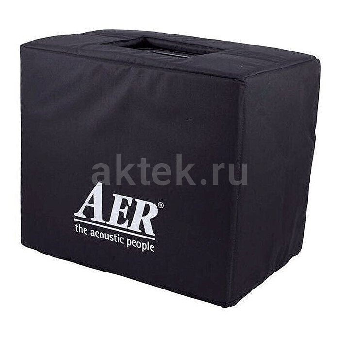 Гитарный комбоусилитель AER Domino 3 2