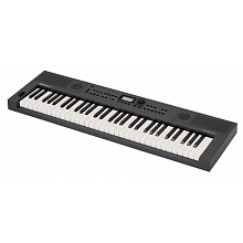 Синтезатор Roland GO:KEYS 5 Keyboard - Graphite
