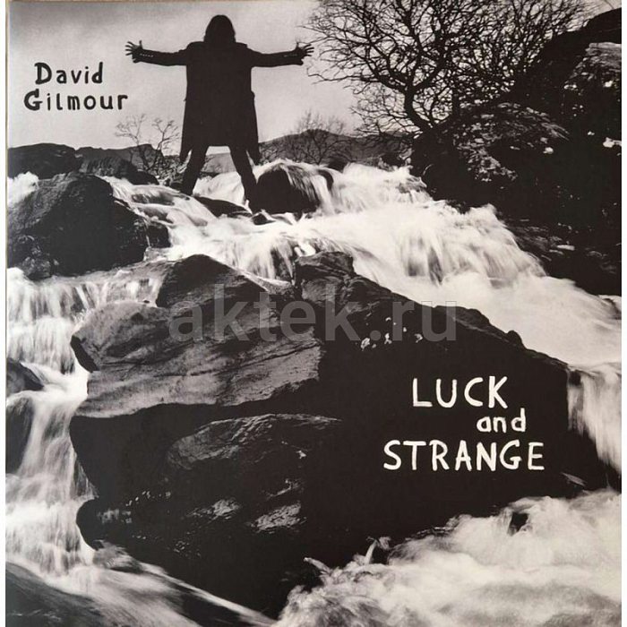 Виниловая пластинка DAVID GILMOUR - LUCK AND STRANGE 180 GRAM BLACK VINYL 12"