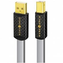 Кабель USB Wireworld Platinum Starlight 8 USB 2.0 A-B - 1 метр