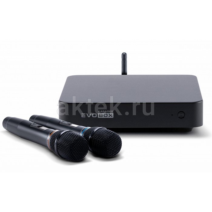 Караоке система с микрофонами Studio Evolution EVOBOX Classic Black