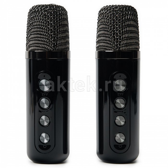 Портативная караоке колонка с микрофонами SkyDisco YS-219 3