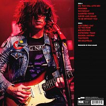 Виниловая пластинка RYAN ADAMS  - PRISONER 180 GRAM BLACK VINYL 12" 2