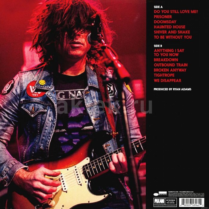 Виниловая пластинка RYAN ADAMS - PRISONER 180 GRAM BLACK VINYL 12" 2