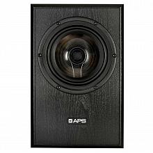Студийные мониторы APS COAX 2 2