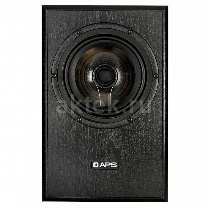 Студийные мониторы APS COAX 2 2