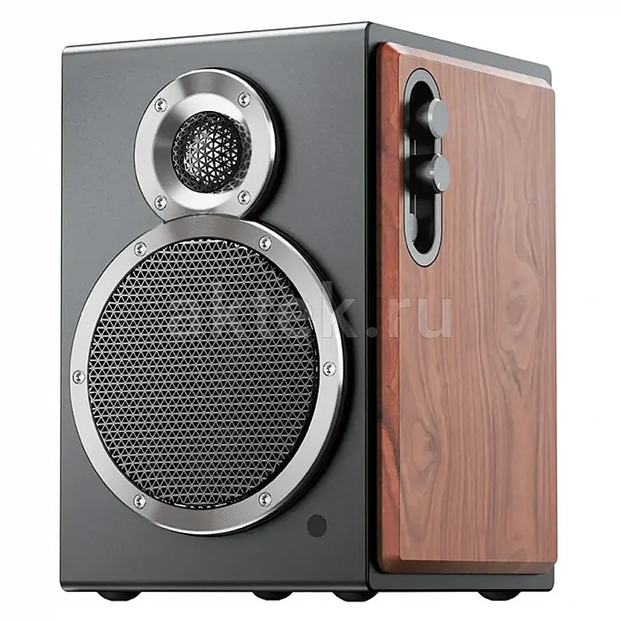 Полочная акустическая система FiiO SA1 Twilight Black 7