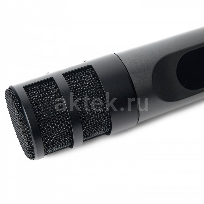 Портативная караоке-колонка с микрофонами SkyDisco YKM23 200 Вт 9