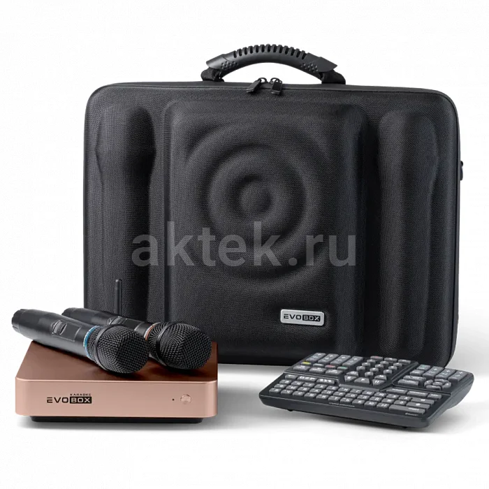 Караоке система с микрофонами Studio Evolution EVOBOX Plus Black 2