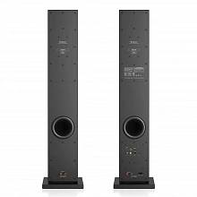Акустическая система Audio Pro A38 W Black 2