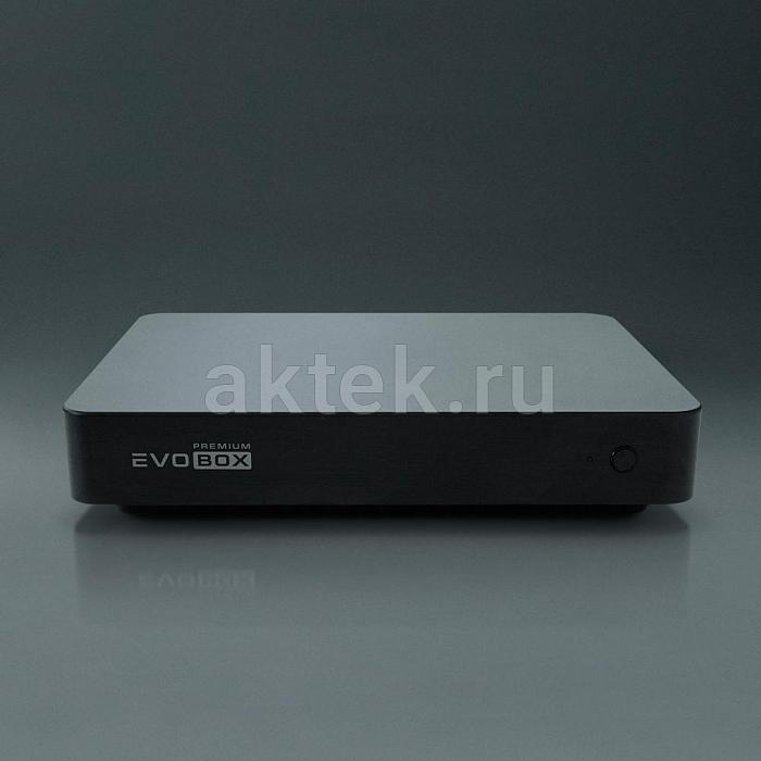 Караоке система с микрофонами и акустикой Studio Evolution EVOBOX Premium+SE 200D+Audio Pro A38 5