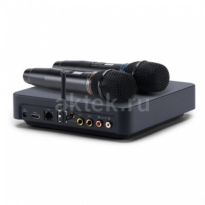 Караоке система с микрофонами и акустикой Studio Evolution EVOBOX Plus+Audio Pro A38 white 10