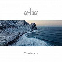Виниловая пластинка A-HA - TRUE NORTH 180 GRAM BLACK VINYL 12" + CD Deluxe Edition