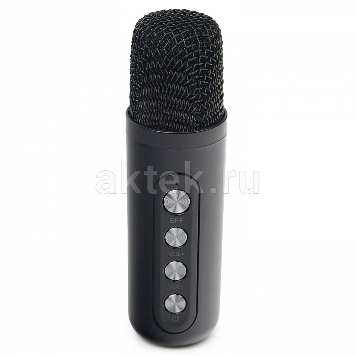 Портативная караоке колонка с микрофонами SkyDisco YS-314 3