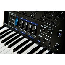 Цифровой аккордеон Roland FR-1X Black 2