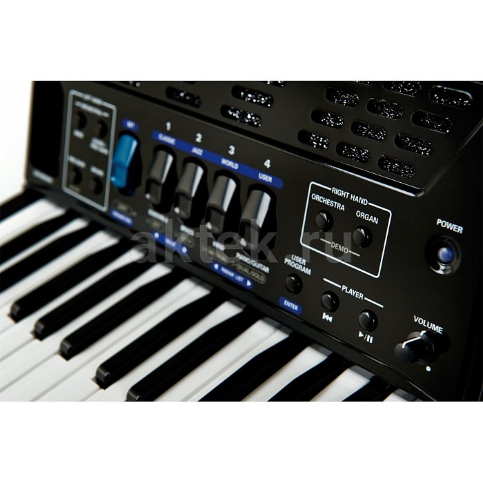 Цифровой аккордеон Roland FR-1X Black 2