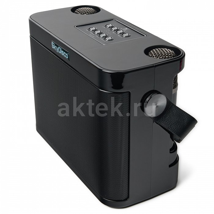 Портативная караоке колонка с микрофонами SkyDisco YS-219 11