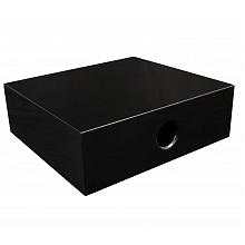 Активный cабвуфер DLS Flatsub Midi satin black
