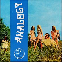 Виниловая пластинка ANALOGY - ANALOGY 180 GRAM BLACK VINYL 12"