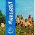 Виниловая пластинка ANALOGY - ANALOGY 180 GRAM BLACK VINYL 12"