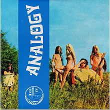 Виниловая пластинка ANALOGY - ANALOGY 180 GRAM BLACK VINYL 12"