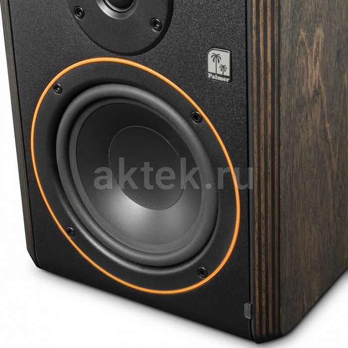 Palmer STUDIMON 5 активный студийный монитор 5″ 2×30Вт 9