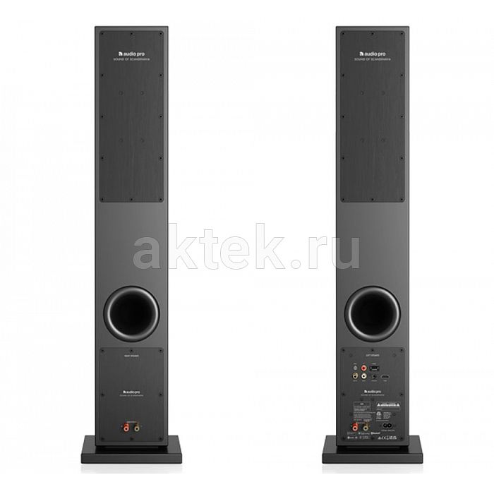 Караоке система с микрофонами и акустикой Studio Evolution EVOBOX+SE 200D+Audio Pro A38 Black 4