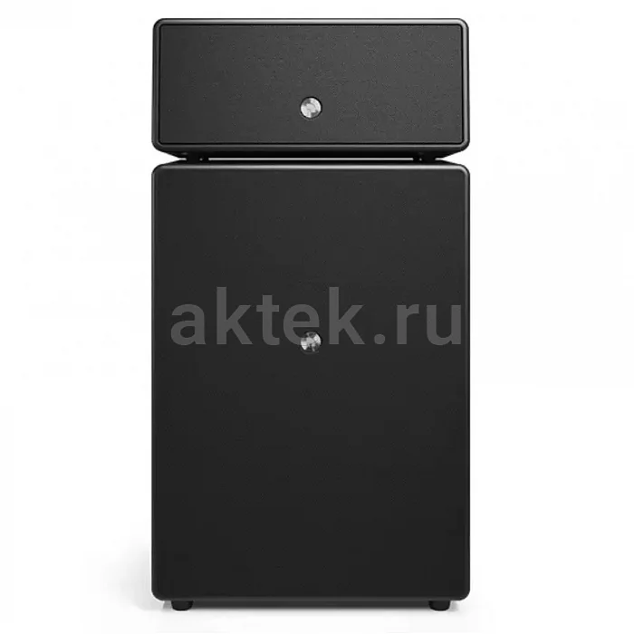 Беспроводная акустическая система Audio Pro Drumfire II black 2