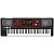 Аранжировочная станция KORG Pa700-OR