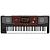 Аранжировочная станция KORG PA700