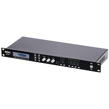 Контроллер акустических систем Biema DSP2407 2