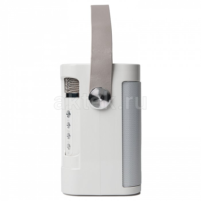 Портативная караоке колонка с микрофонами SkyDisco YS-219 white 11