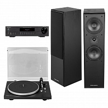 Комплект проигрывателя винила Premiera Vinyl START Floor Wireless