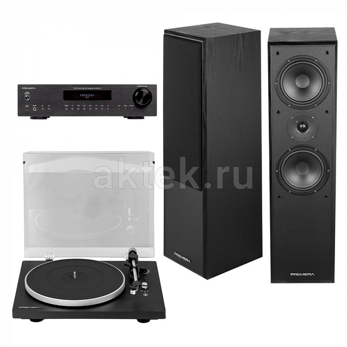 Комплект проигрывателя винила Premiera Vinyl START Floor Wireless