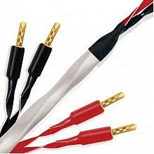 Акустический кабель Wireworld SOB2.0MB-8 2 м