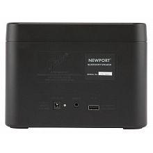Портативная колонка FENDER PRO FENDER Newport Bluetooth Speaker Black 2