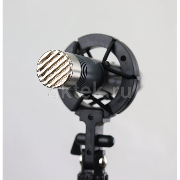 AuraSonics AP22-MP инструментальные студийные микрофоны, золотой 5